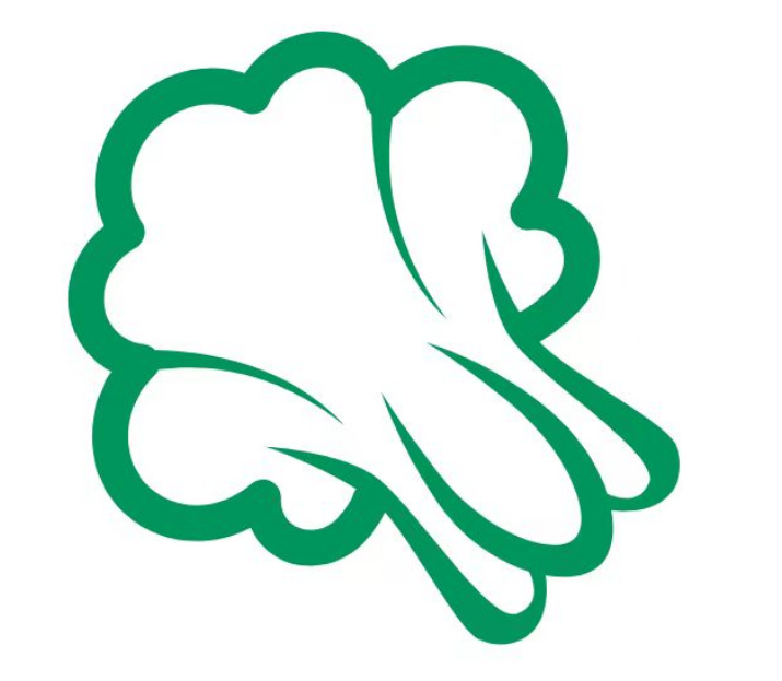 白菜分期